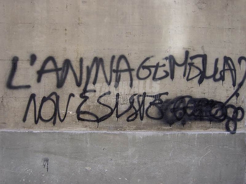 Scritte sui Muri Disillusione