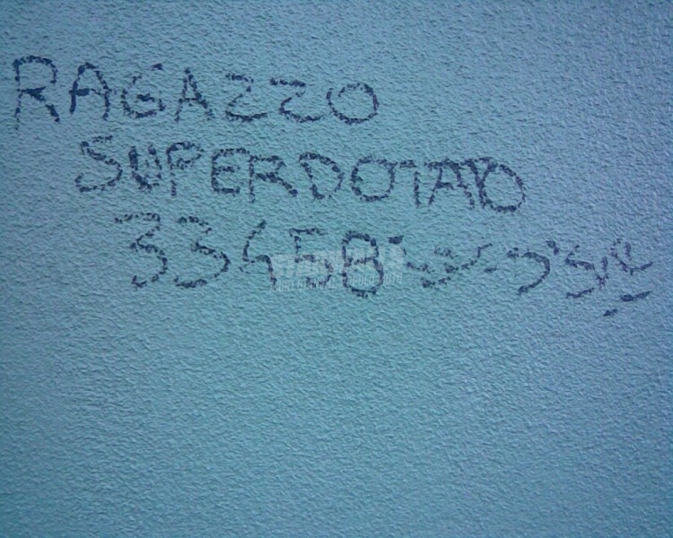 Scritte sui Muri Cerco/offro