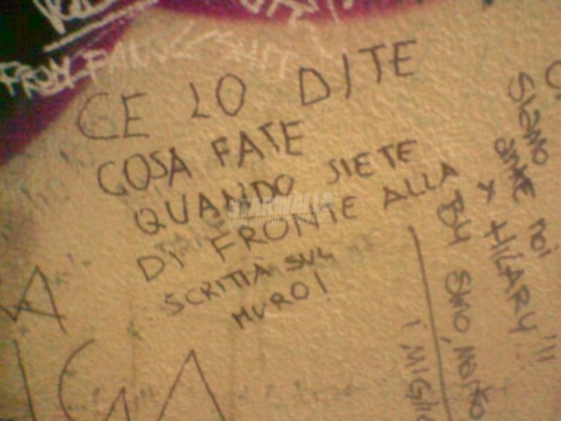 Scritte sui Muri Chiedetelo a Ligabue