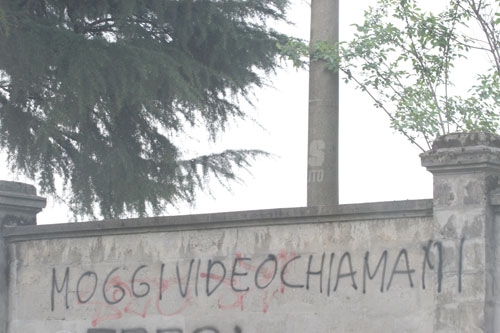 Scritte sui Muri Moggiopoli