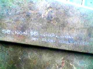 Scritte sui Muri la viola nell'aiuola