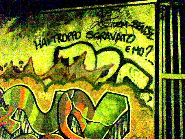 Scritte sui Muri l'hai fatta fuori dal vasino ..