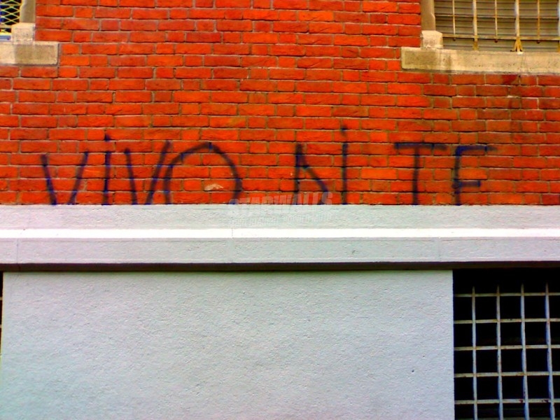 Scritte sui Muri Chissà che pisciate