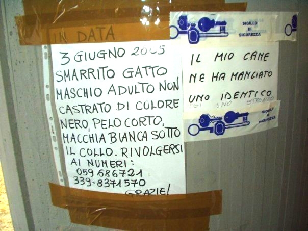 Scritte sui Muri provocazioni