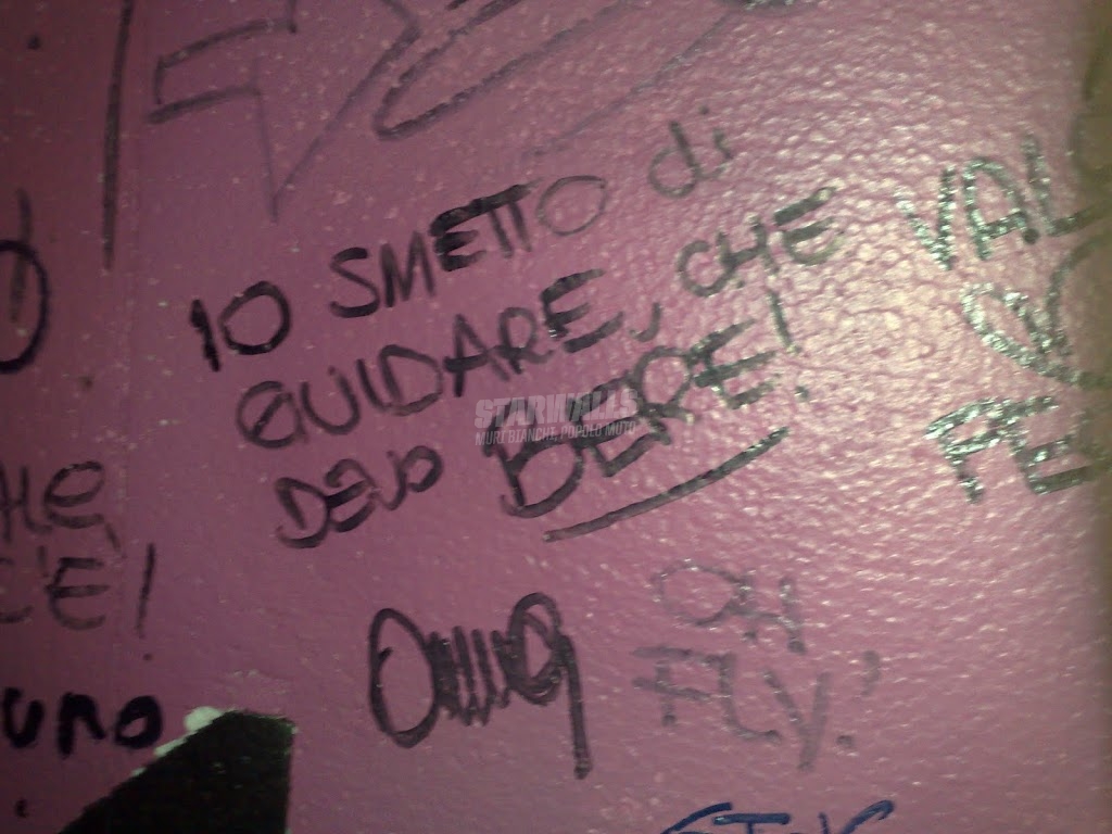 Scritte sui Muri saggio