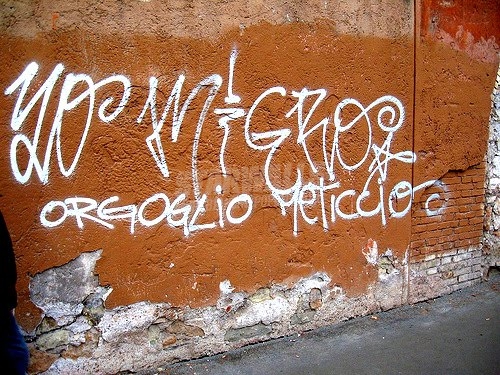 Scritte sui Muri La nostra patria è il mondo intero