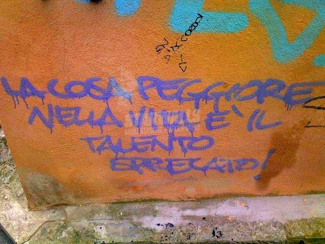 Scritte sui Muri bronx