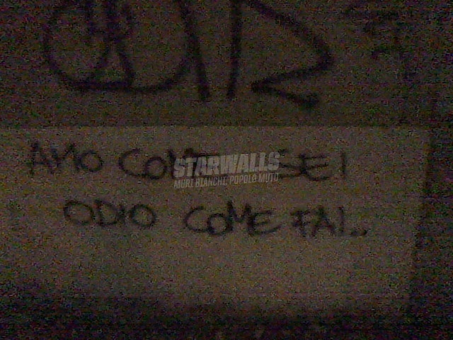 Scritte sui Muri Odi et amo