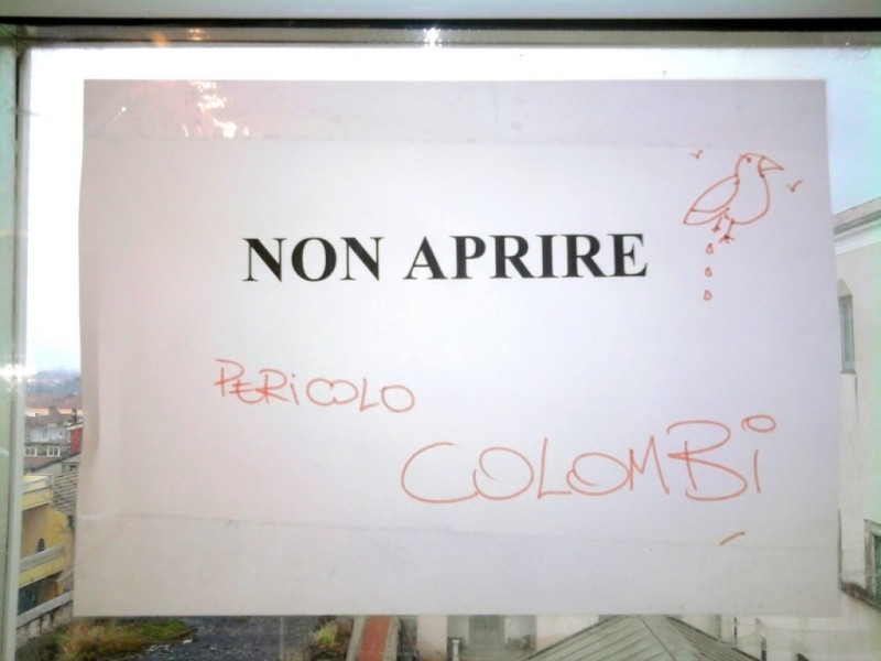 Scritte sui Muri Pericolosissimi 