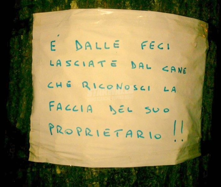 Scritte sui Muri Una faccia una cacca