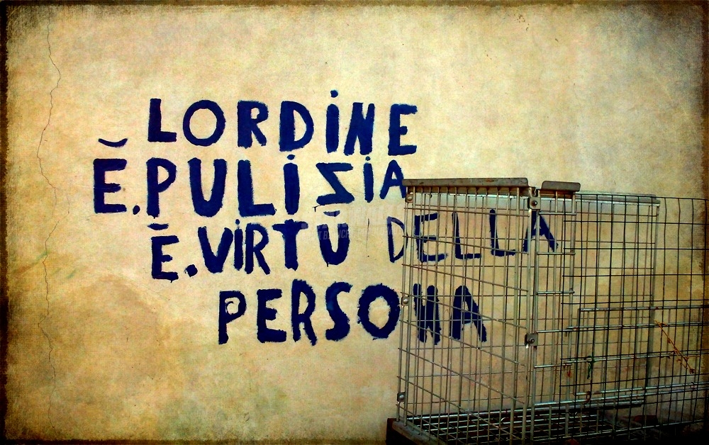 Scritte sui Muri Distretto di pulizia