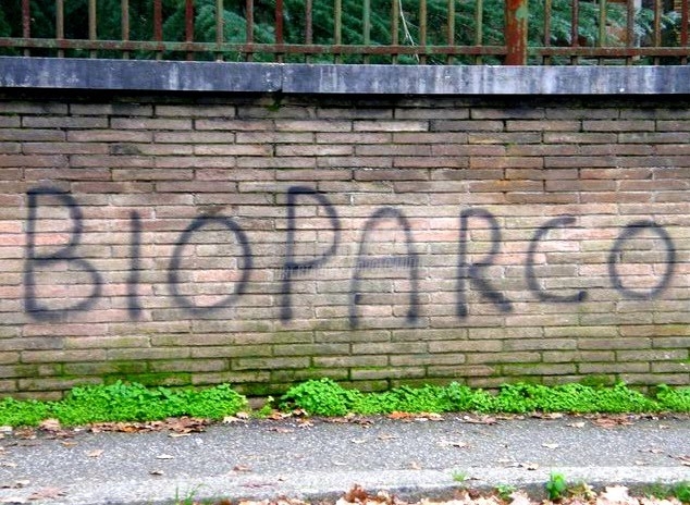 Scritte sui Muri E porta la nonna !