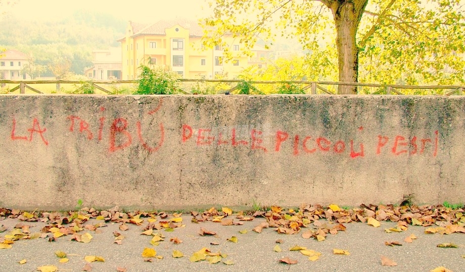 Scritte sui Muri Praticamente ingestibbili