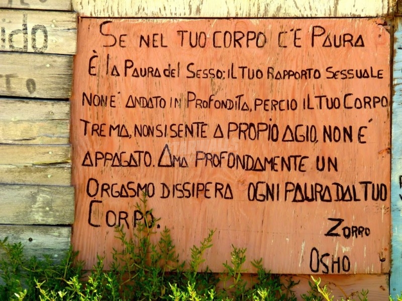 Scritte sui Muri Il maestro consiglia