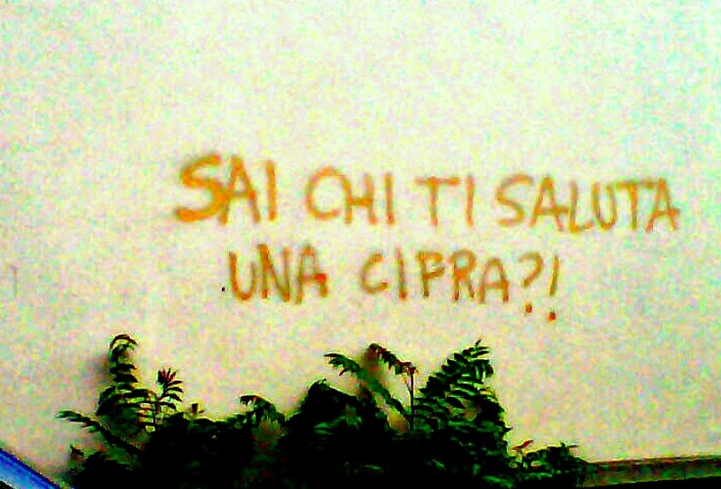 Scritte sui Muri Stoc...ooo !!!