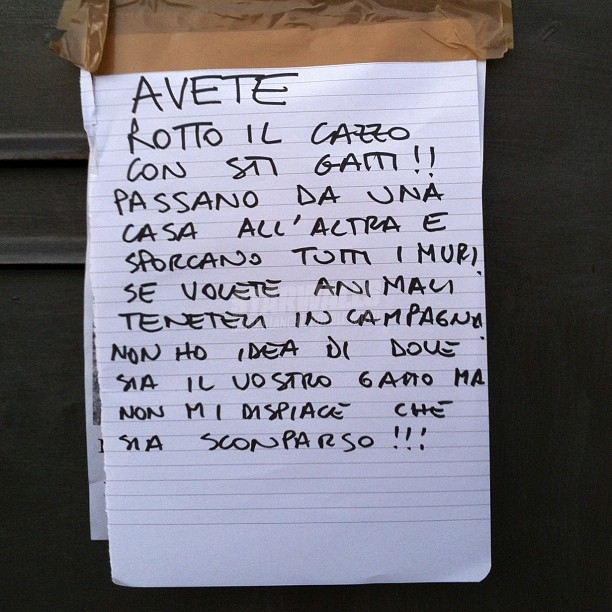 Scritte sui Muri Astio felino