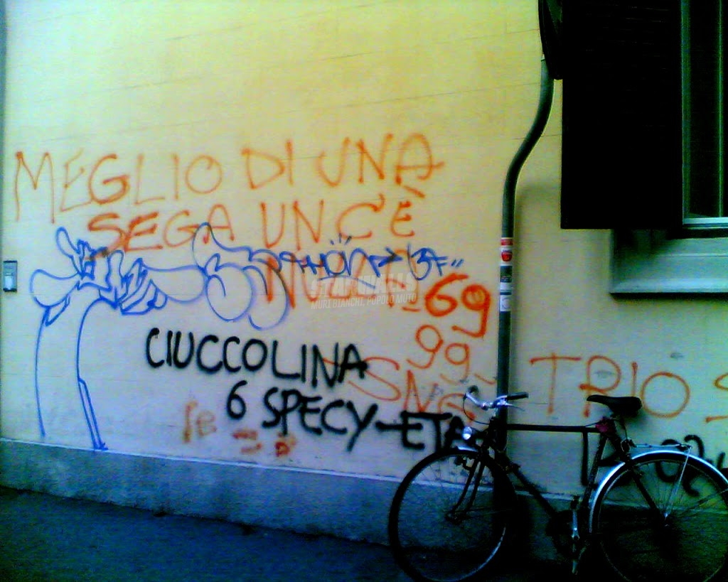 Scritte sui Muri Fai da te