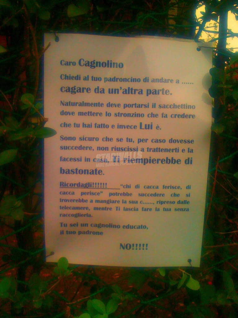 Scritte sui Muri Lettera a un cane