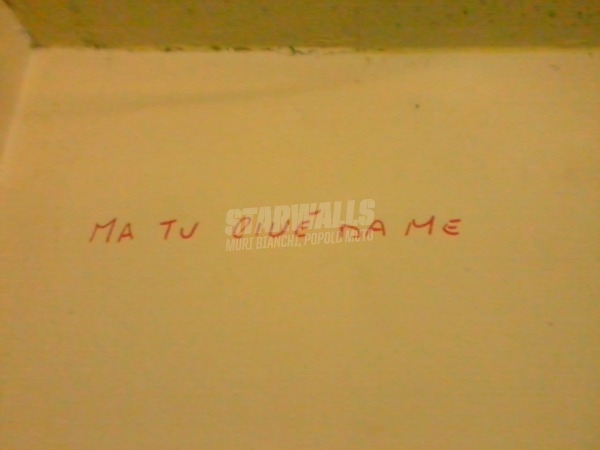 Scritte sui Muri Spiegami