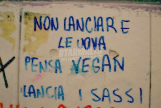 Scritte sui Muri Vegan riot