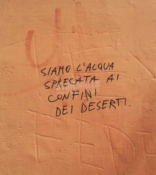 Scritte sui Muri Noi fuori