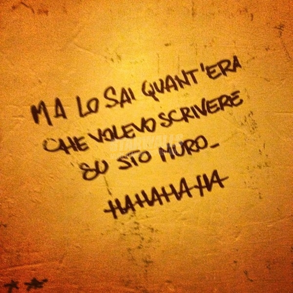 Scritte sui Muri Ce l'ho fatta