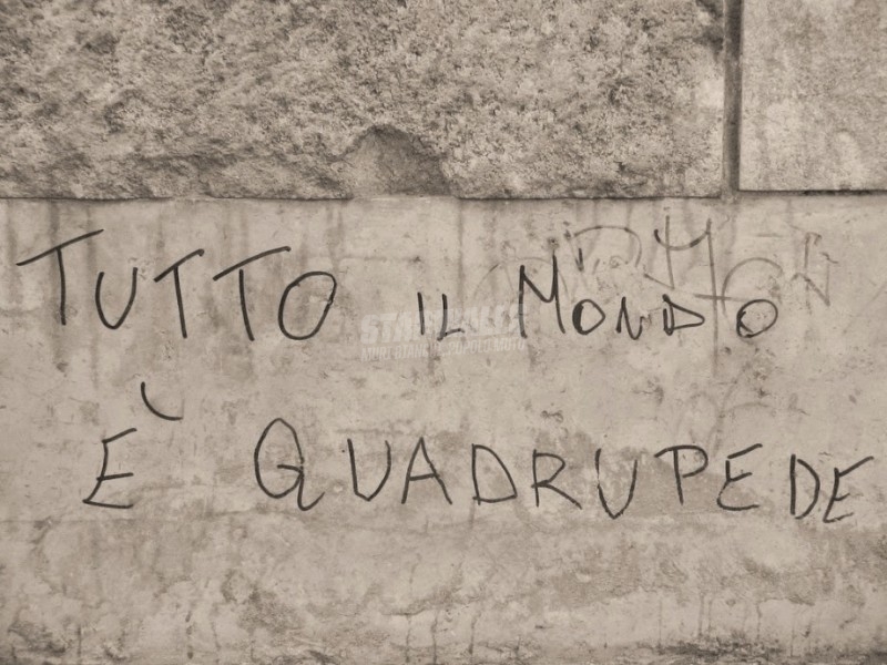 Scritte sui Muri A quattro zampe