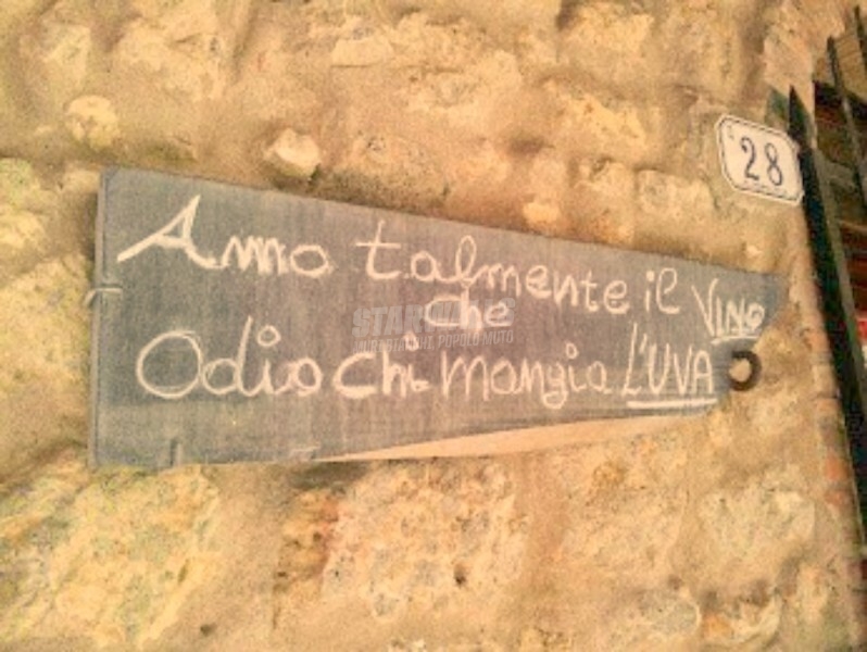 Scritte sui Muri Buon vino fa buon sangue