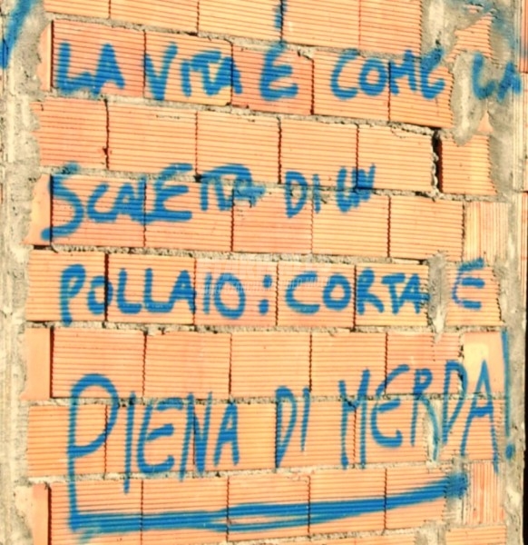 Scritte sui Muri Il pollo nichilista