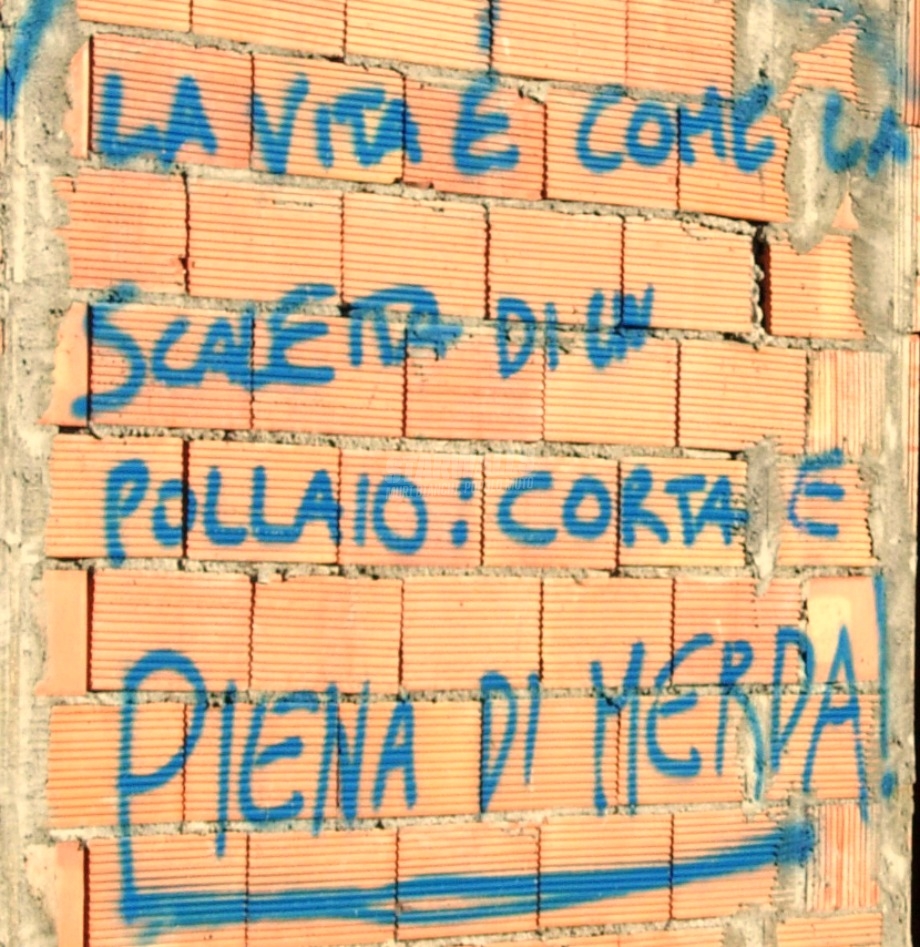 Scritte sui Muri Il pollo nichilista