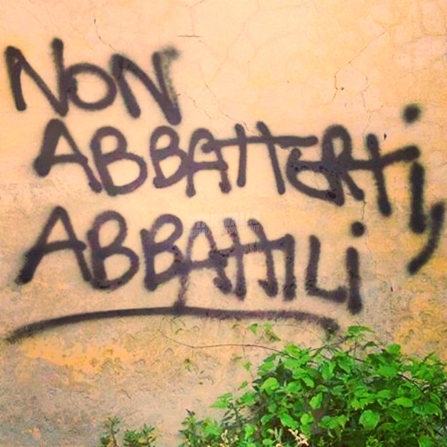 Scritte sui Muri Reagisci 