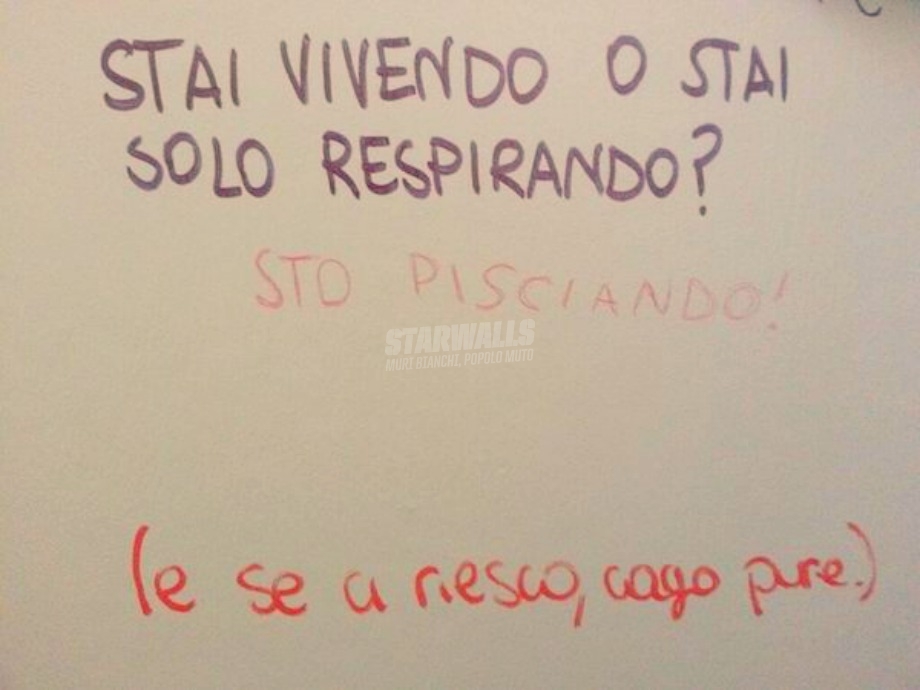 Scritte sui Muri Domande e risposte esistenziali