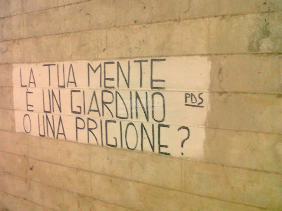 Scritte sui Muri Fiori o sbarre?