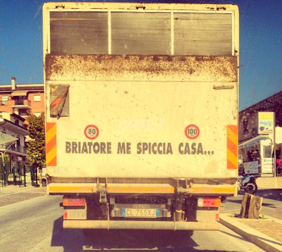 Scritte sui Muri Flavio nostro