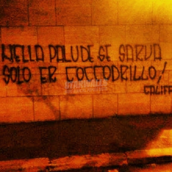 Scritte sui Muri Califfo