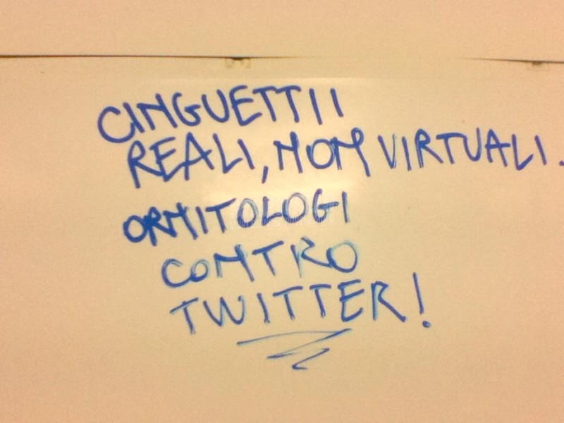 Scritte sui Muri Volatili contro