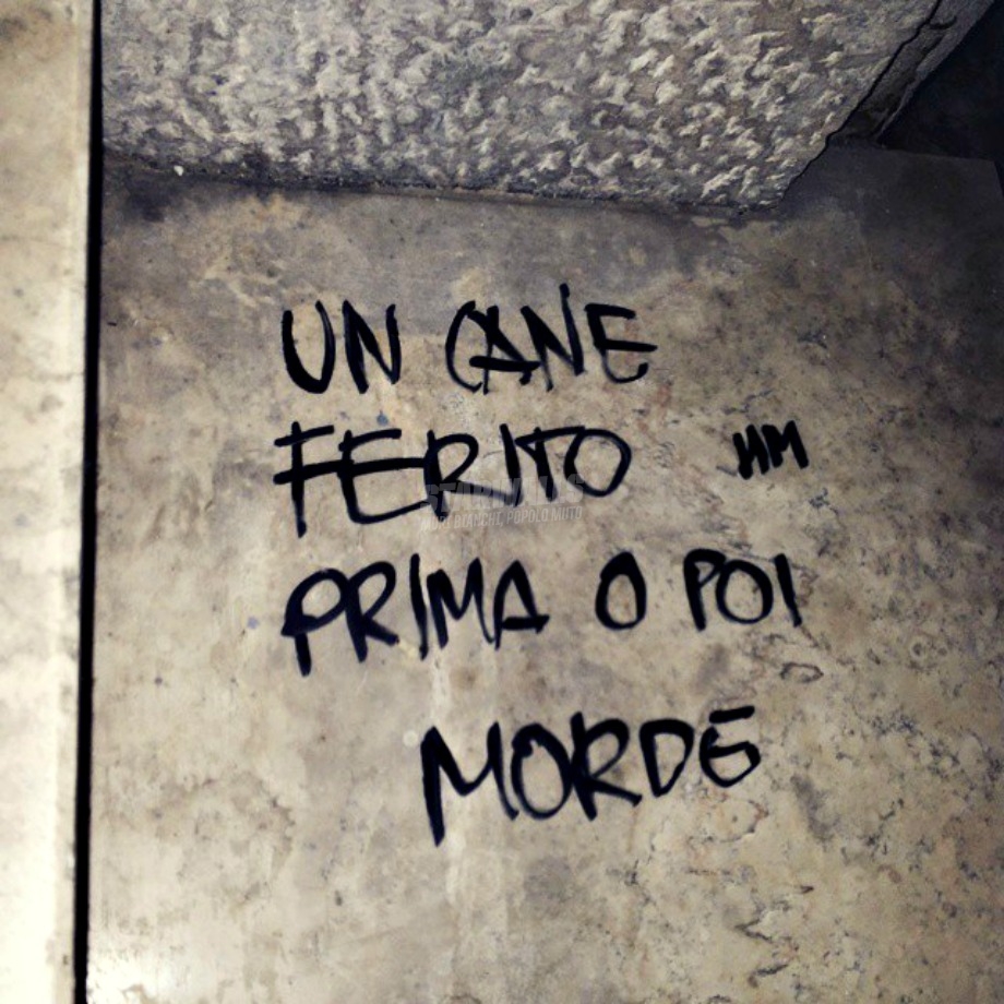 Scritte sui Muri Eccome