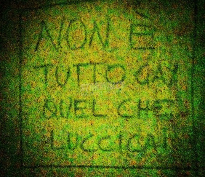 Scritte sui Muri Orgoglio etero