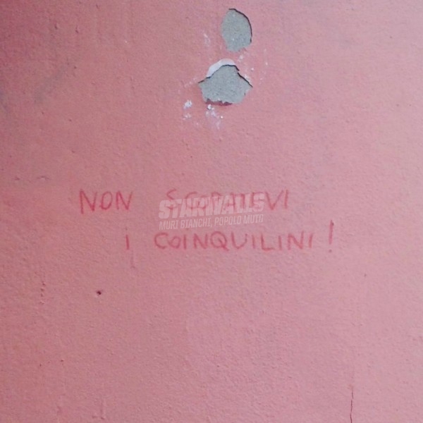 Scritte sui Muri Ormoni a posto