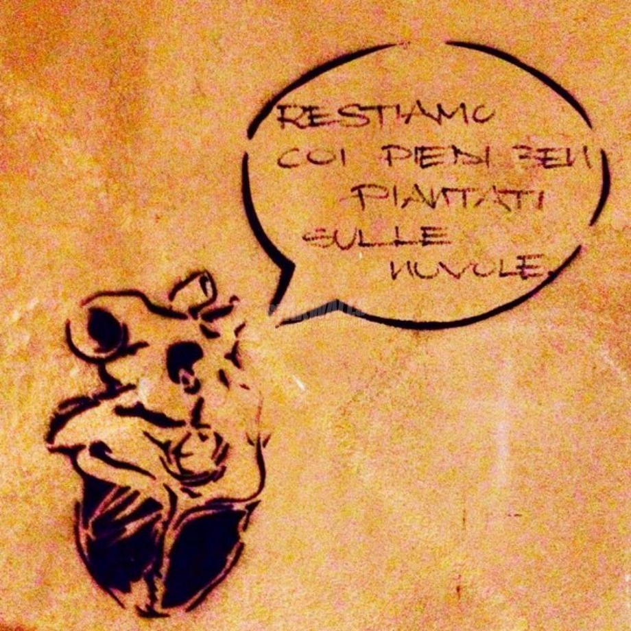 Scritte sui Muri Sognatore