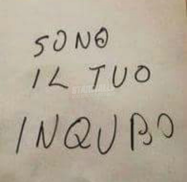 Scritte sui Muri Pecciore!