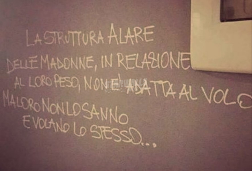 Scritte sui Muri Maria Santissima