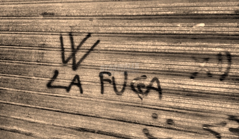 Scritte sui Muri Viva