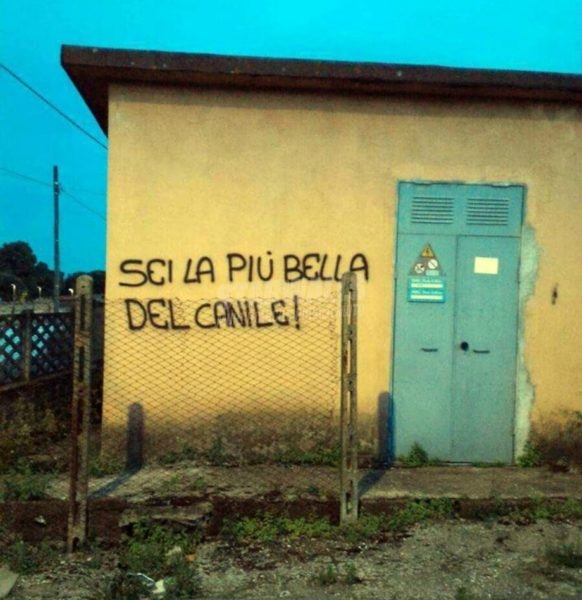 Scritte sui Muri Miss