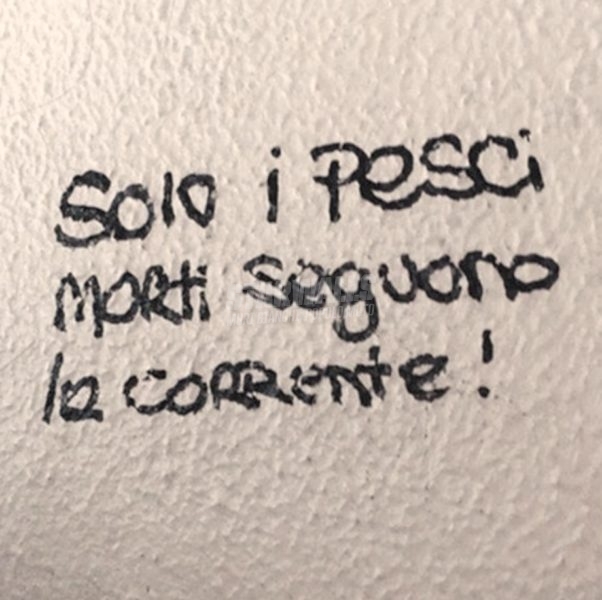 Scritte sui Muri Così finisci nella rete