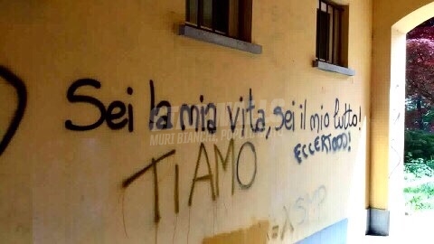 Scritte sui Muri Rose e crisantemi