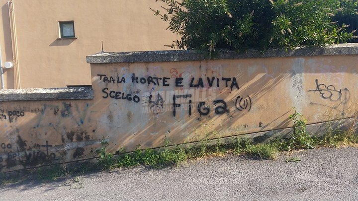 Scritte sui Muri Il terzo polo