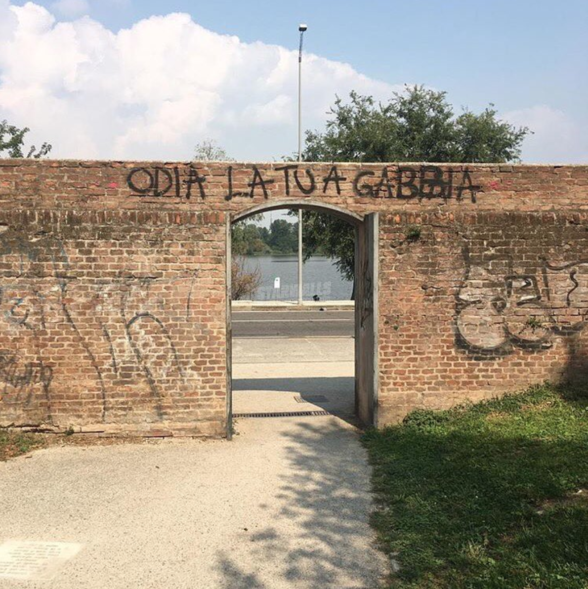 Scritte sui Muri Evadi